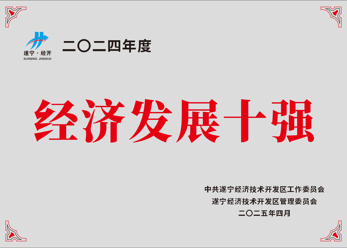 2024年度经济发展十强
